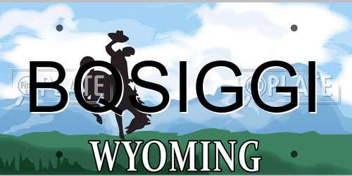 BQSIGGI Wyoming License Plate