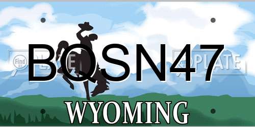 BQSN47 Wyoming License Plate