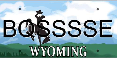 BQSSSSE Wyoming License Plate