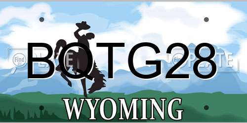 BQTG28 Wyoming License Plate