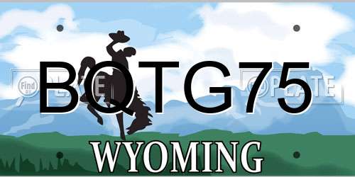 BQTG75 Wyoming License Plate