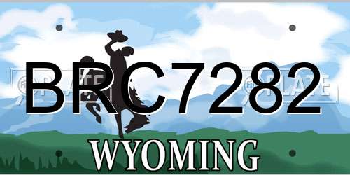 BRC7282 Wyoming License Plate