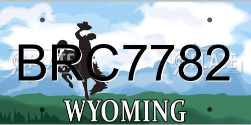 BRC7782 Wyoming License Plate