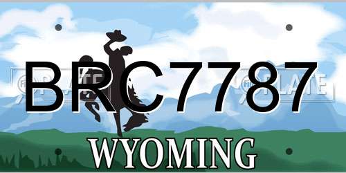 BRC7787 Wyoming License Plate