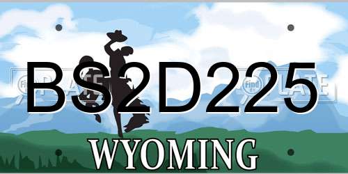 BS2D225 Wyoming License Plate