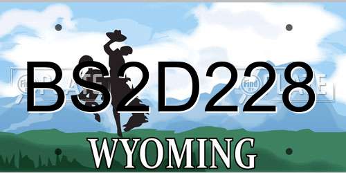 BS2D228 Wyoming License Plate