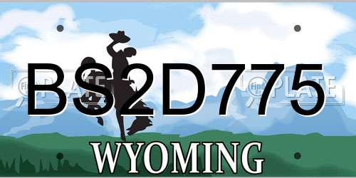 BS2D775 Wyoming License Plate