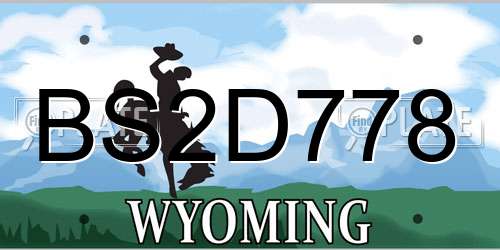BS2D778 Wyoming License Plate