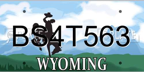 BS4T563 Wyoming License Plate