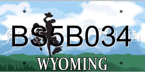 BS5B034 Wyoming License Plate