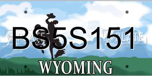 BS5S151 Wyoming License Plate