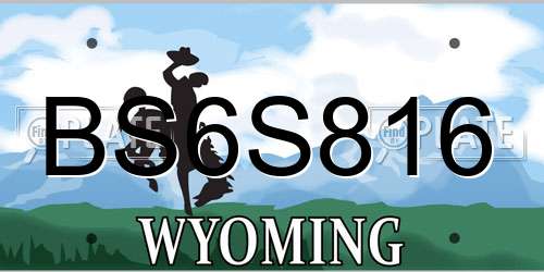 BS6S816 Wyoming License Plate