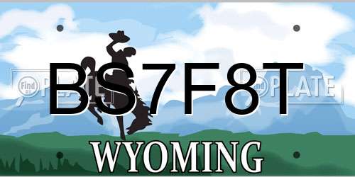BS7F8T Wyoming License Plate