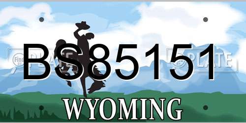 BS85151 Wyoming License Plate