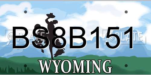 BS8B151 Wyoming License Plate