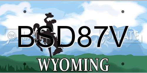 BSD87V Wyoming License Plate