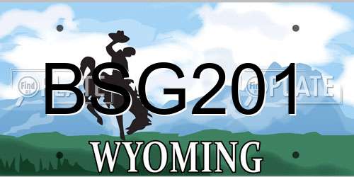 BSG201 Wyoming License Plate