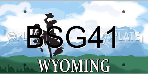 BSG41 Wyoming License Plate