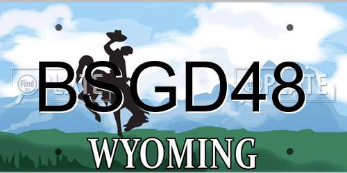 BSGD48 Wyoming License Plate