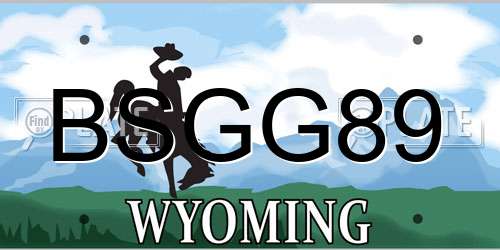 BSGG89 Wyoming License Plate