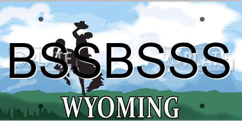 BSSBSSS Wyoming License Plate