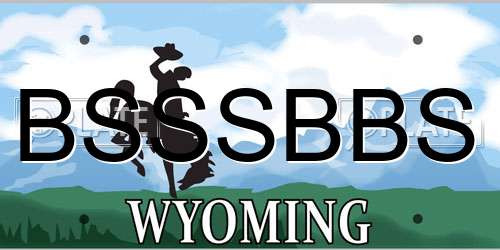 BSSSBBS Wyoming License Plate