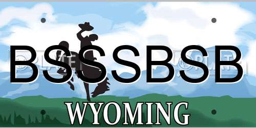 BSSSBSB Wyoming License Plate