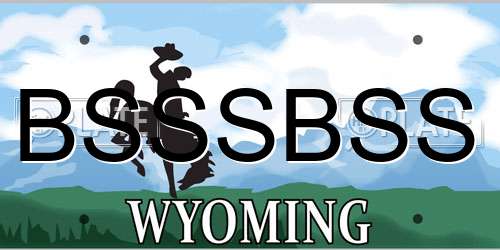 BSSSBSS Wyoming License Plate