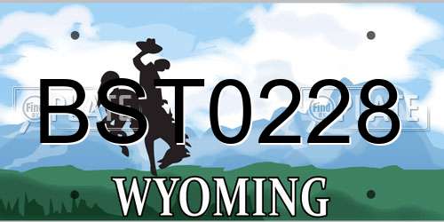 BST0228 Wyoming License Plate