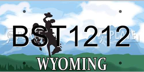 BST1212 Wyoming License Plate
