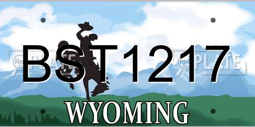 BST1217 Wyoming License Plate