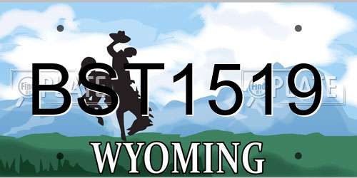 BST1519 Wyoming License Plate
