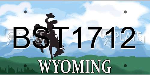 BST1712 Wyoming License Plate