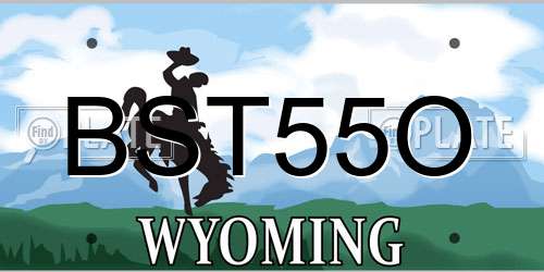 BST55O Wyoming License Plate