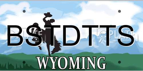 BSTDTTS Wyoming License Plate