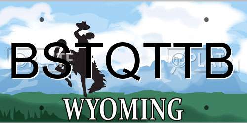 BSTQTTB Wyoming License Plate