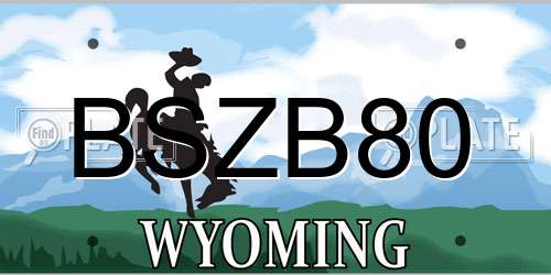 BSZB80 Wyoming License Plate