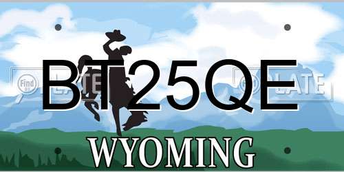 BT25QE Wyoming License Plate