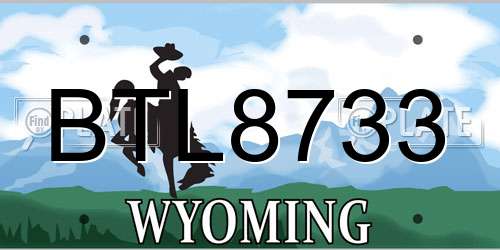 BTL8733 Wyoming License Plate
