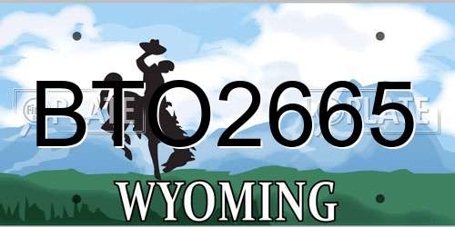 BTO2665 Wyoming License Plate