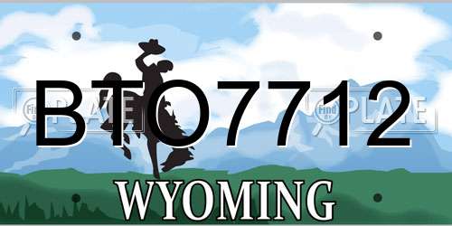 BTO7712 Wyoming License Plate