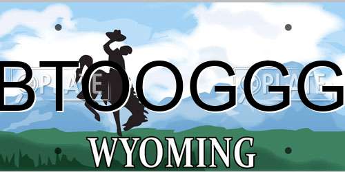 BTOOGGG Wyoming License Plate