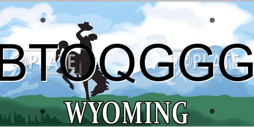 BTOQGGG Wyoming License Plate