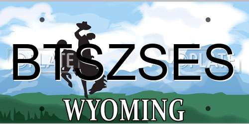 BTSZSES Wyoming License Plate