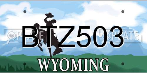 BTZ503 Wyoming License Plate