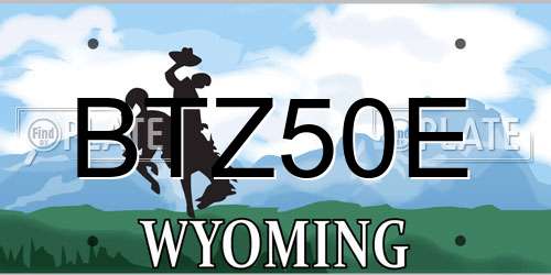 BTZ50E Wyoming License Plate