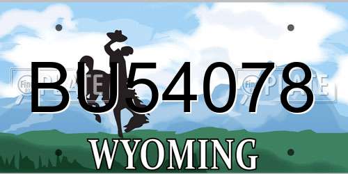 BU54078 Wyoming License Plate