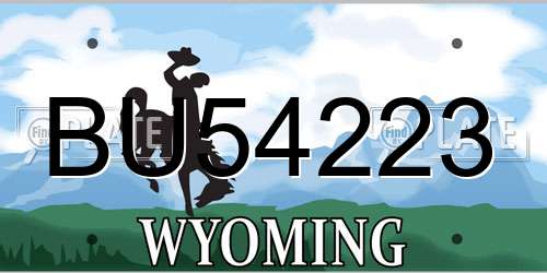 BU54223 Wyoming License Plate