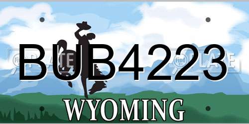 BUB4223 Wyoming License Plate