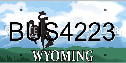 BUS4223 Wyoming License Plate